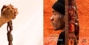 Muzo Ntekwa Nemitundu Shibili album