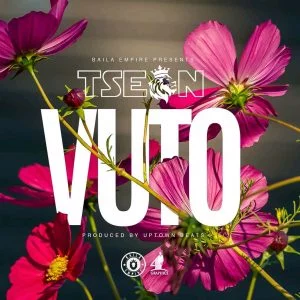 T Sean Vuto Mp3 audio Download